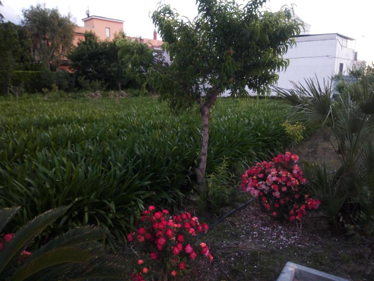La Maison Di Sara Santa Maria La Carità Εξωτερικό φωτογραφία