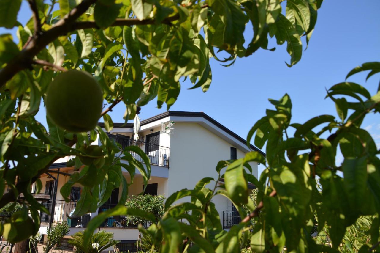 La Maison Di Sara Santa Maria La Carità Εξωτερικό φωτογραφία
